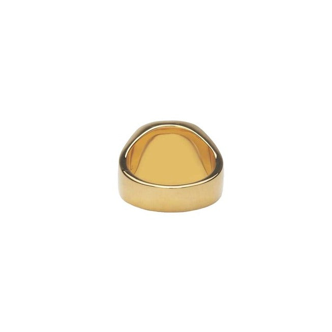 IX Cushion Signet Hawks Eye ring - forgyldt